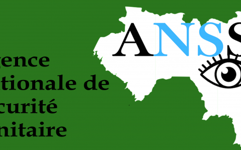 L’ANSS parle d’un cas probable de fièvre de Marburg à Koundou